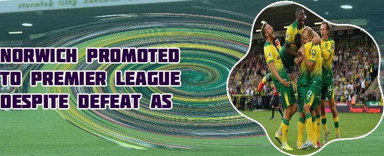 Norwich city promotion